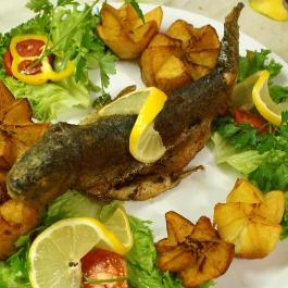 Monarchia Vendégház Keszthely Keszthely - Vendéglátás