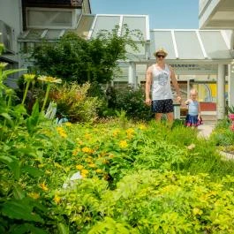 Tokajer Wellness Panzió Keszthely - Medence/kert