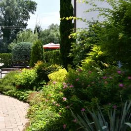 Tokajer Wellness Panzió Keszthely - Medence/kert