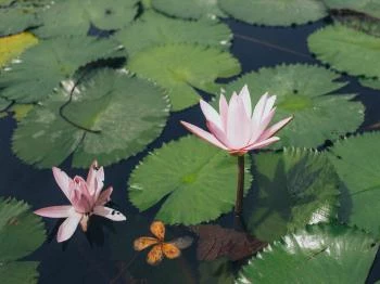 Hévíz-patak Keszthely