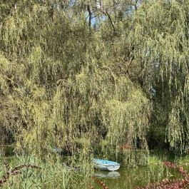 Palócliget Vendégház Kétbodony - Medence/kert