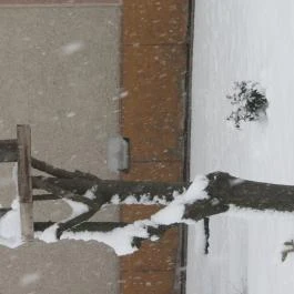 KultúrÉlet Vendégháza Kétegyháza - Egyéb