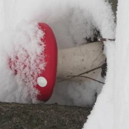 KultúrÉlet Vendégháza Kétegyháza - Egyéb