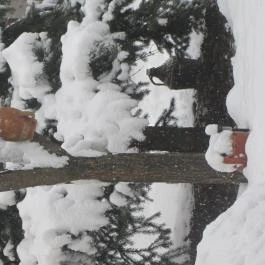 KultúrÉlet Vendégháza Kétegyháza - Egyéb