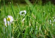 KultúrÉlet Vendégháza Kétegyháza