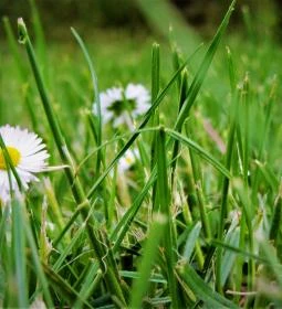 KultúrÉlet Vendégháza