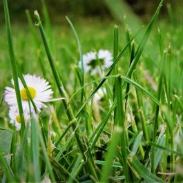 KultúrÉlet Vendégháza Kétegyháza - Egyéb