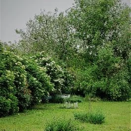 KultúrÉlet Vendégháza Kétegyháza - Medence/kert