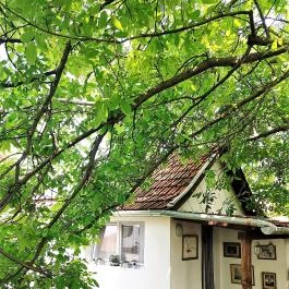 KultúrÉlet Vendégháza Kétegyháza - Külső kép