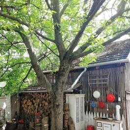 KultúrÉlet Vendégháza Kétegyháza - Egyéb