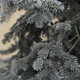 KultúrÉlet Vendégháza Kétegyháza - Egyéb