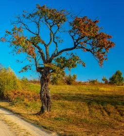 2. legjobb látnivaló: Kétvölgy kilátó