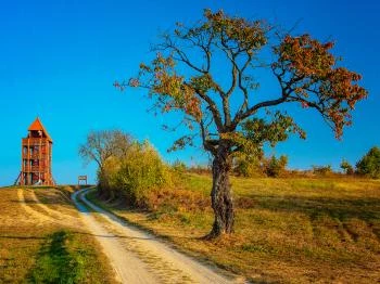 Kétvölgy kilátó Kétvölgy