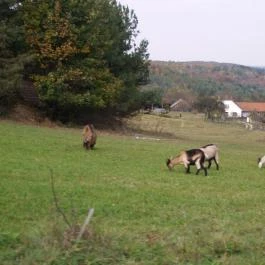 Tücsöktanya Vendégház Kétvölgy - Külső kép