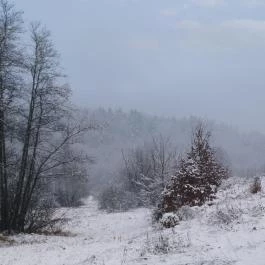 Tücsöktanya Vendégház Kétvölgy - Külső kép