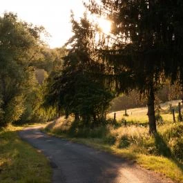 Tücsöktanya Vendégház Kétvölgy - Egyéb