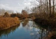 Duna-Beach Apartman Kimle