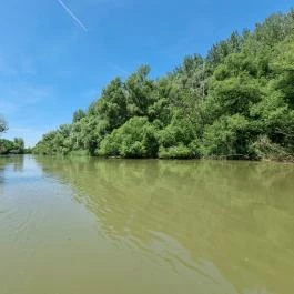 Duna-Beach Apartman Kimle - Egyéb