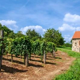 Szent Kereszt kápolna Kisapáti - Külső kép