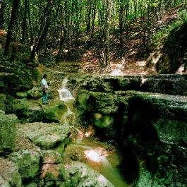 Kincsem Wellness Hotel Étterem Kisbér - Egyéb