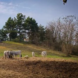 Szent Korona kilátó Kisgyőr - Külső kép