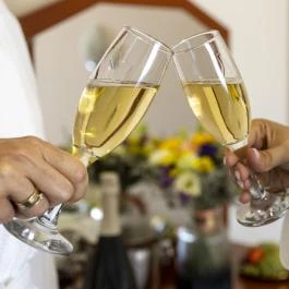 Hotel Imperial Gyógyszálló Kiskőrös - Vendéglátás