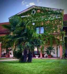 Hotel Vinum Wellness és Konferencia Hotel