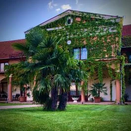 Hotel Vinum Wellness és Konferencia Hotel Kiskőrös - Egyéb