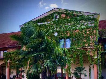 Hotel Vinum Wellness és Konferencia Hotel Kiskőrös