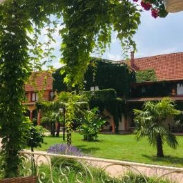 Hotel Vinum Wellness és Konferencia Hotel Kiskőrös - Egyéb
