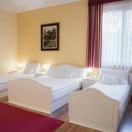 Hotel Vinum Wellness és Konferencia Hotel Kiskőrös - Szobák