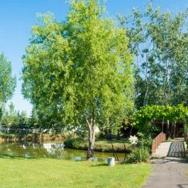 Hotel Vinum Wellness és Konferencia Hotel Kiskőrös - Medence/kert