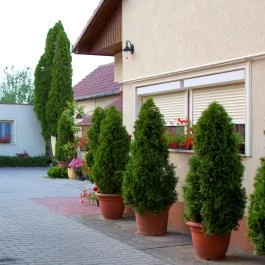 Betti Motel Kiskunhalas - Külső kép