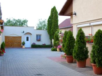 Betti Motel Kiskunhalas