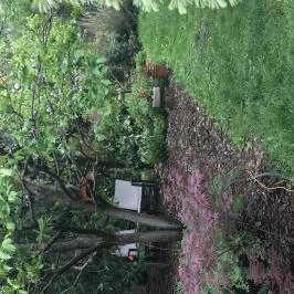 Betti Motel Kiskunhalas - Medence/kert