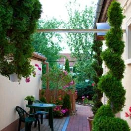 Betti Motel Kiskunhalas - Medence/kert