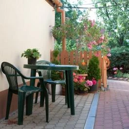 Betti Motel Kiskunhalas - Medence/kert