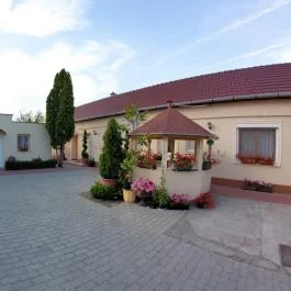 Betti Motel Kiskunhalas - Medence/kert