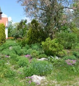 Kecskeméti Arborétum