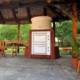 Nyuszis Apartman Kiskunmajsa - Medence/kert