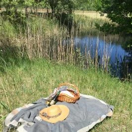 Tornácos Tanya Vendégház és Gasztroporta Kiskunmajsa - Egyéb