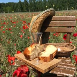 Tornácos Tanya Vendégház és Gasztroporta Kiskunmajsa - Egyéb