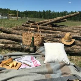 Tornácos Tanya Vendégház és Gasztroporta Kiskunmajsa - Egyéb