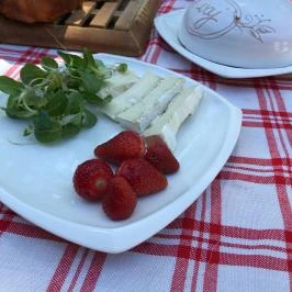 Tornácos Tanya Vendégház és Gasztroporta Kiskunmajsa - Egyéb