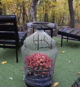 Börzsönyi Ékszerdoboz