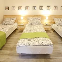 Harangvirág 36 Vendégházak Kismaros - Egyéb