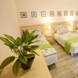 Harangvirág 36 Vendégházak Kismaros - Egyéb