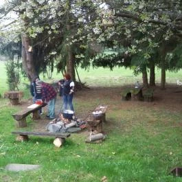 Őrségi Madárfészek Szállásfogadó Kisrákos - Medence/kert