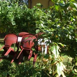 Kata Apartman Kistarcsa - Medence/kert