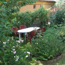 Kata Apartman Kistarcsa - Medence/kert